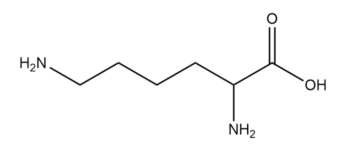 l lysine bulk